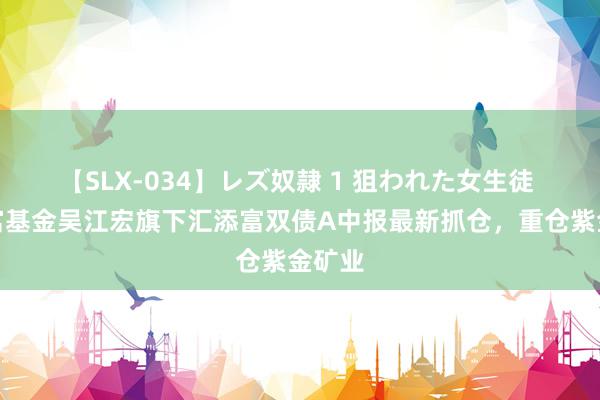 【SLX-034】レズ奴隷 1 狙われた女生徒 汇添富基金吴江宏旗下汇添富双债A中报最新抓仓，重仓紫金矿业