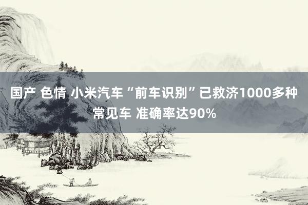 国产 色情 小米汽车“前车识别”已救济1000多种常见车 准确率达90%