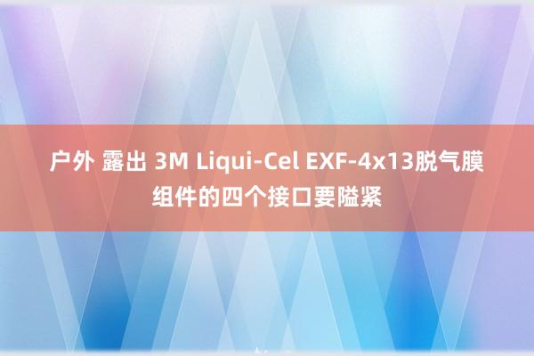 户外 露出 3M Liqui-Cel EXF-4x13脱气膜组件的四个接口要隘紧