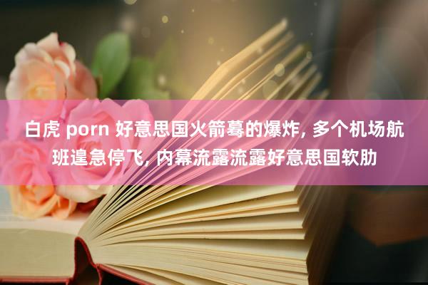 白虎 porn 好意思国火箭蓦的爆炸, 多个机场航班遑急停飞, 内幕流露流露好意思国软肋